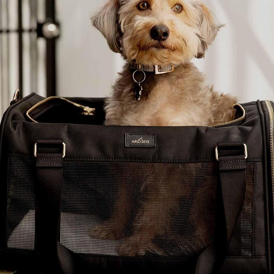 Dog Handbag